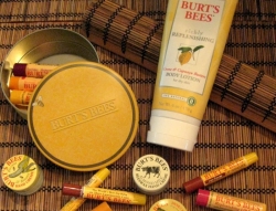 photo about burt's bees - 829